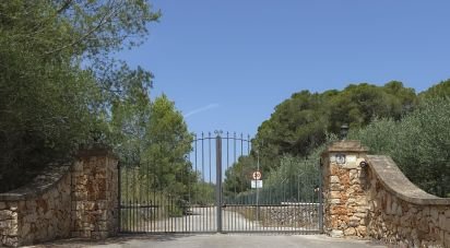 Land of 53,503 m² in Cala Marsal (07670)