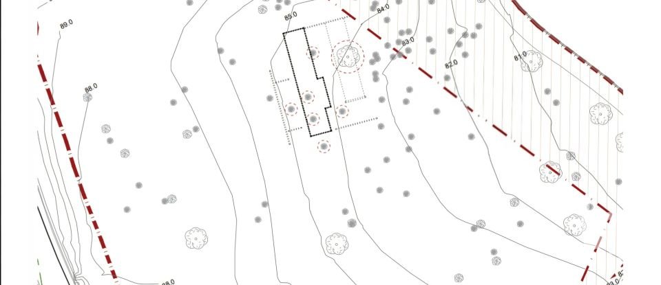 Land of 53,503 m² in Cala Marsal (07670)