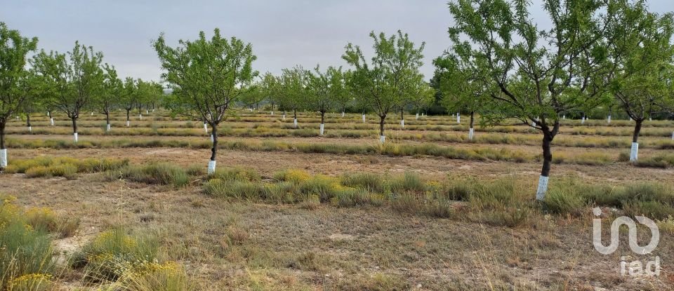 Lodge 3 bedrooms of 200 m² in Mequinenza (50170)