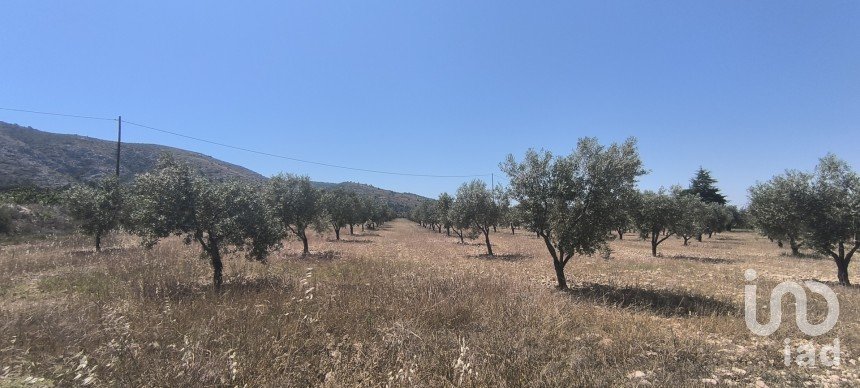 Land of 15,889 m² in Sax (03630)