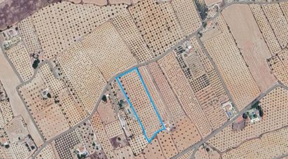 Land of 15,889 m² in Sax (03630)