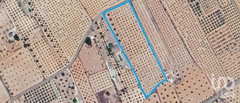 Land of 15,889 m² in Sax (03630)