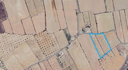 Land of 14,130 m² in Sax (03630)