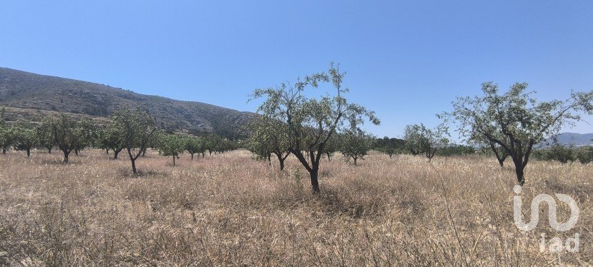 Land of 14,130 m² in Sax (03630)