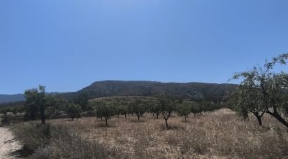 Land of 14,130 m² in Sax (03630)