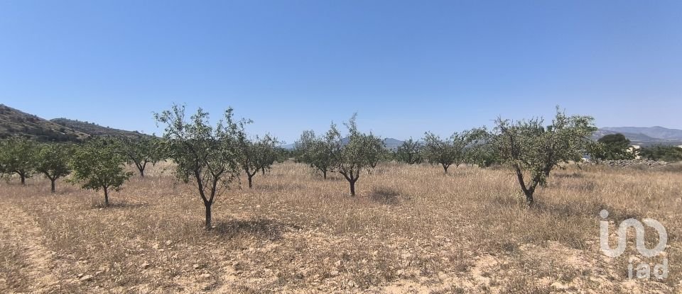 Land of 14,130 m² in Sax (03630)