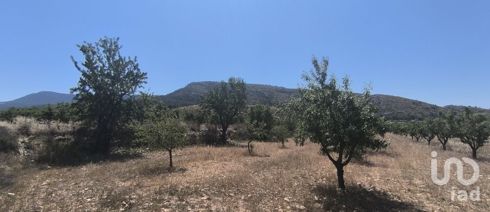 Land of 14,130 m² in Sax (03630)