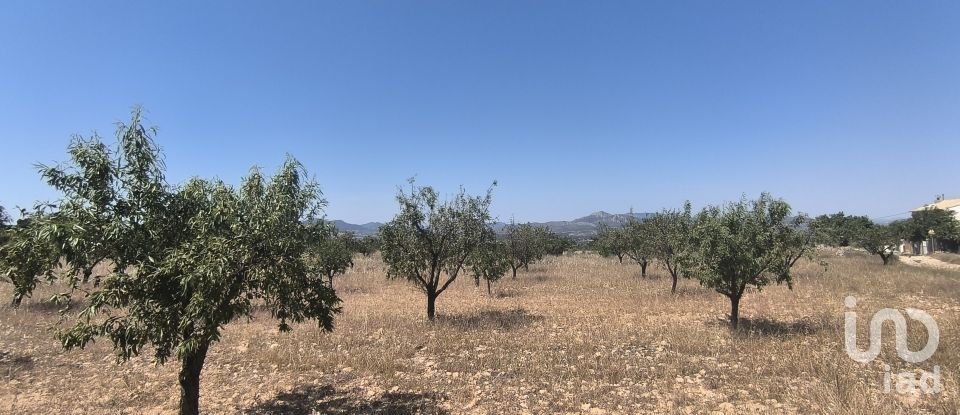 Land of 14,130 m² in Sax (03630)