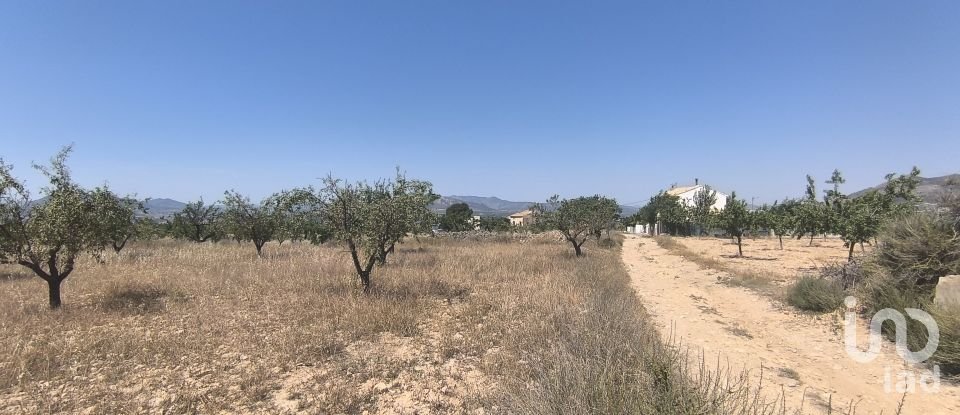 Land of 14,130 m² in Sax (03630)