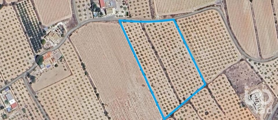 Land of 14,130 m² in Sax (03630)