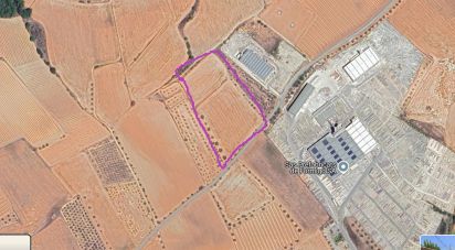 Terreny de 10.070 m² a Pira (43423)