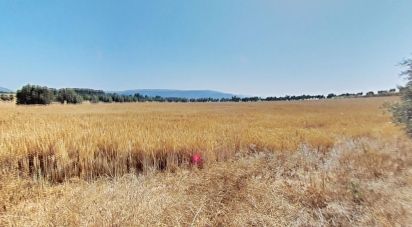 Terreno de 10.070 m² en Pira (43423)