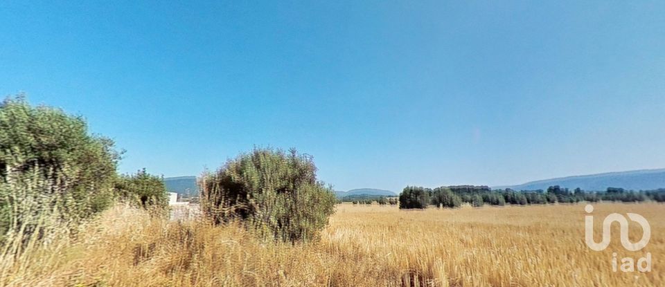 Land of 10,070 m² in Pira (43423)