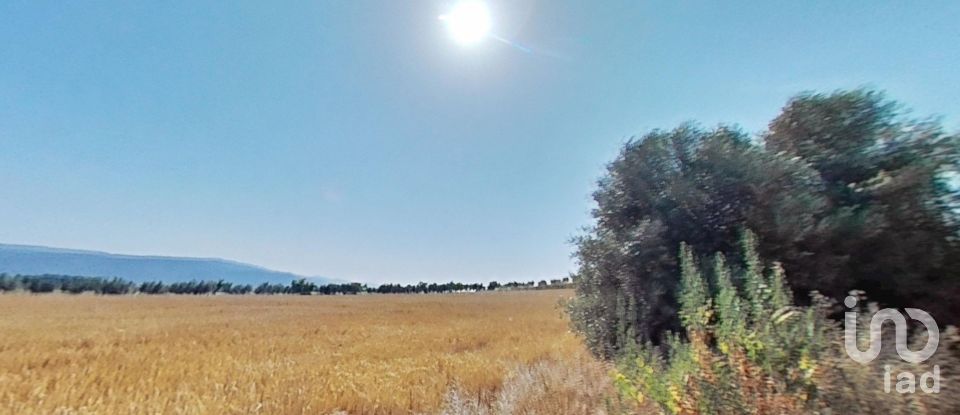 Land of 10,070 m² in Pira (43423)