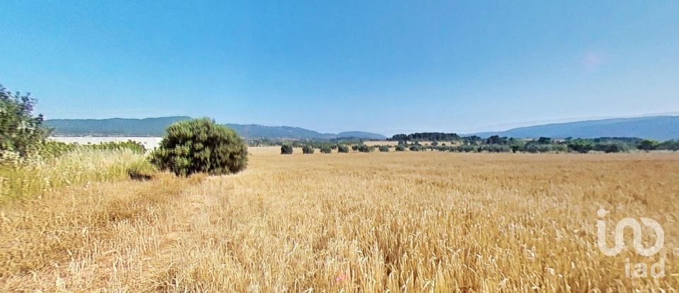 Land of 10,070 m² in Pira (43423)