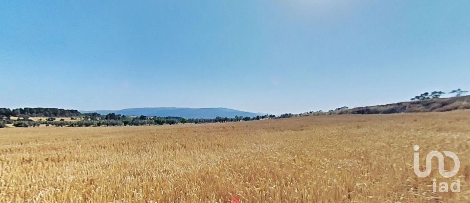 Land of 10,070 m² in Pira (43423)