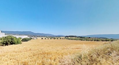 Terreno de 10.070 m² en Pira (43423)