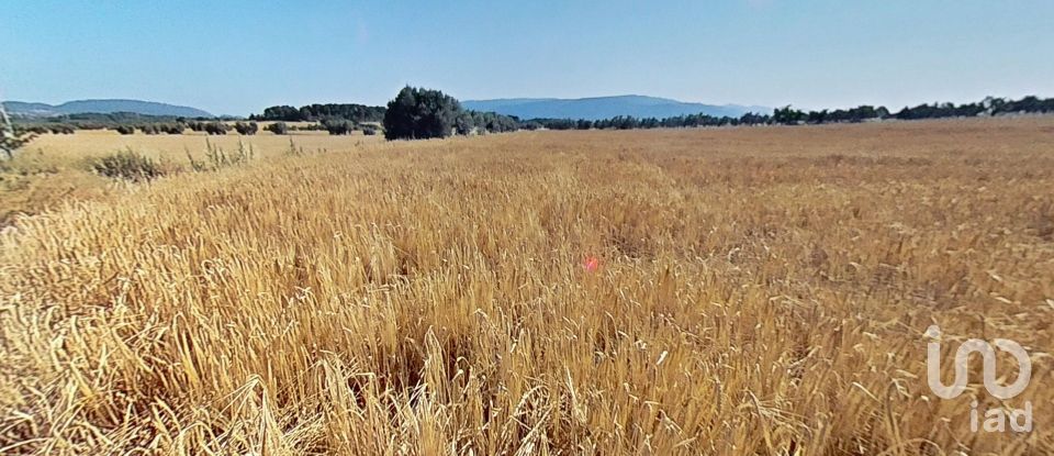 Land of 10,070 m² in Pira (43423)