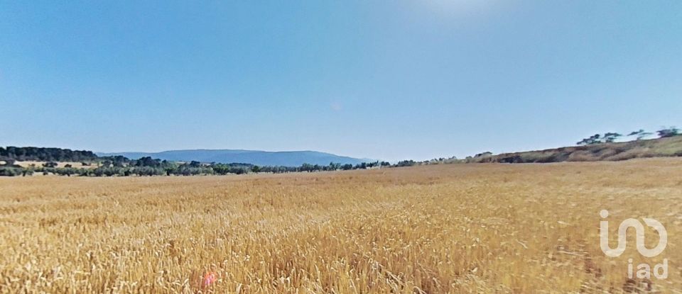 Land of 10,070 m² in Pira (43423)