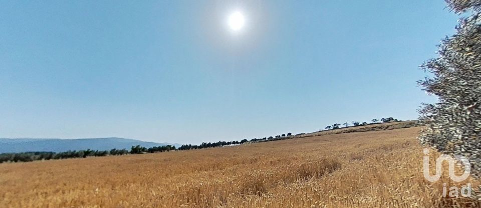 Land of 10,070 m² in Pira (43423)