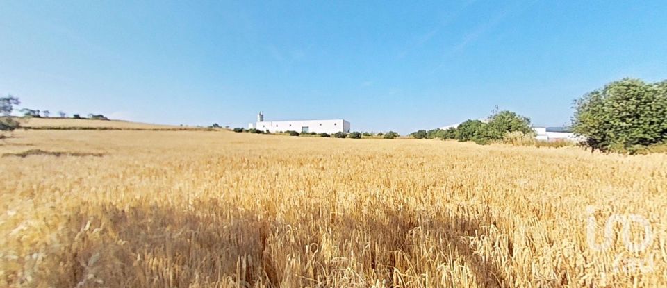 Land of 10,070 m² in Pira (43423)