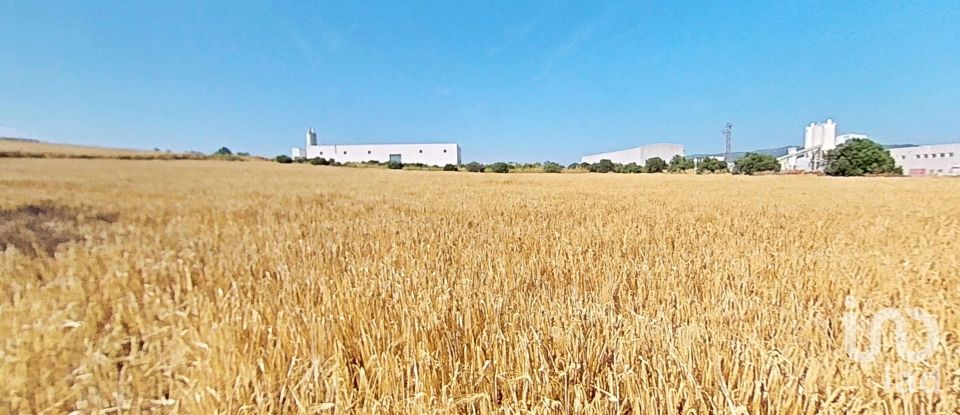 Land of 10,070 m² in Pira (43423)