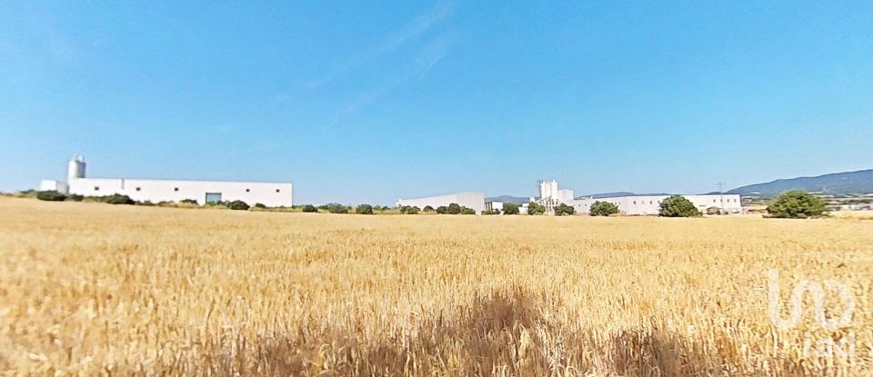 Land of 10,070 m² in Pira (43423)