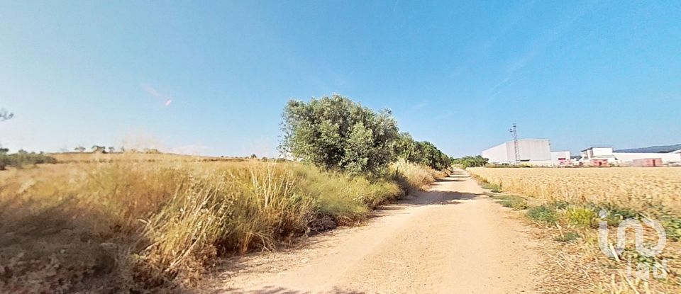 Land of 10,070 m² in Pira (43423)