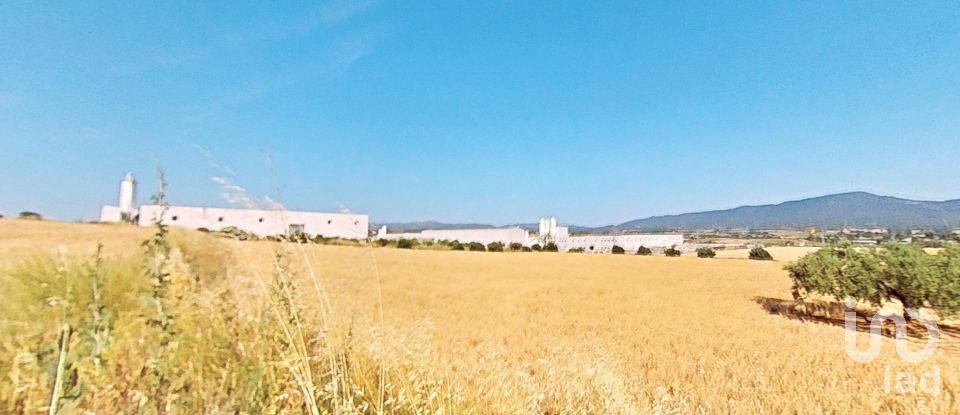 Land of 10,070 m² in Pira (43423)