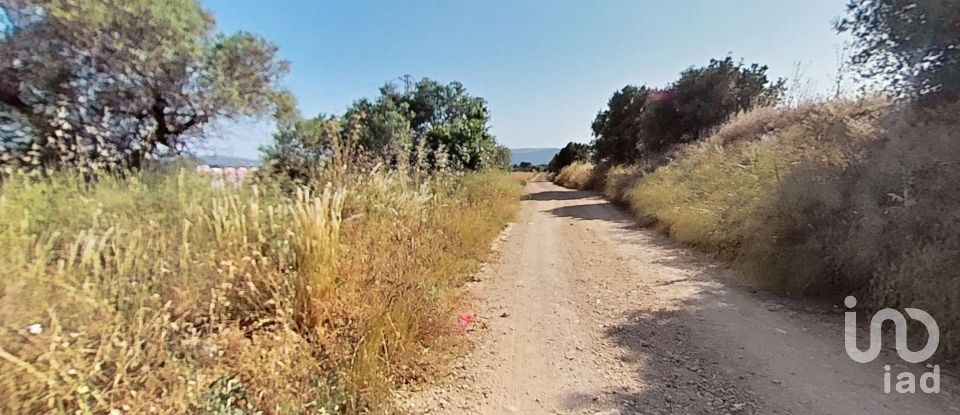 Land of 10,070 m² in Pira (43423)