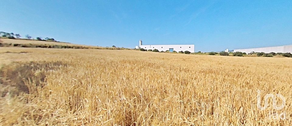 Land of 10,070 m² in Pira (43423)