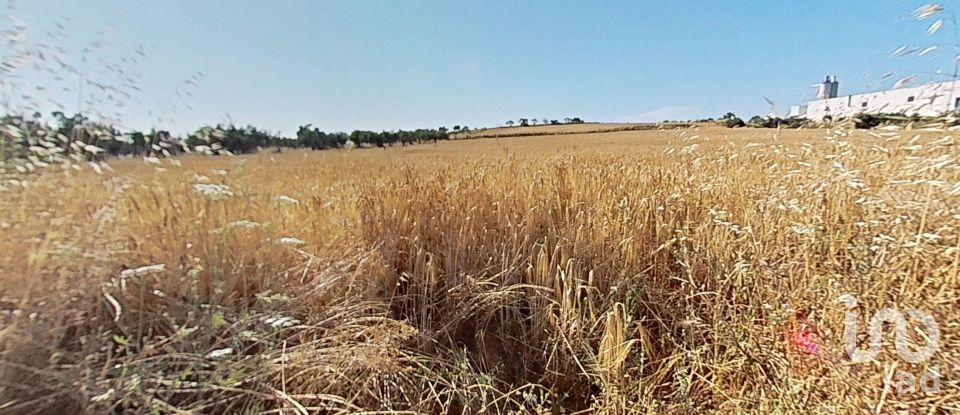 Land of 10,070 m² in Pira (43423)