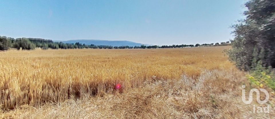 Land of 10,070 m² in Pira (43423)