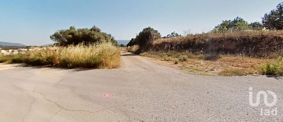 Land of 10,070 m² in Pira (43423)