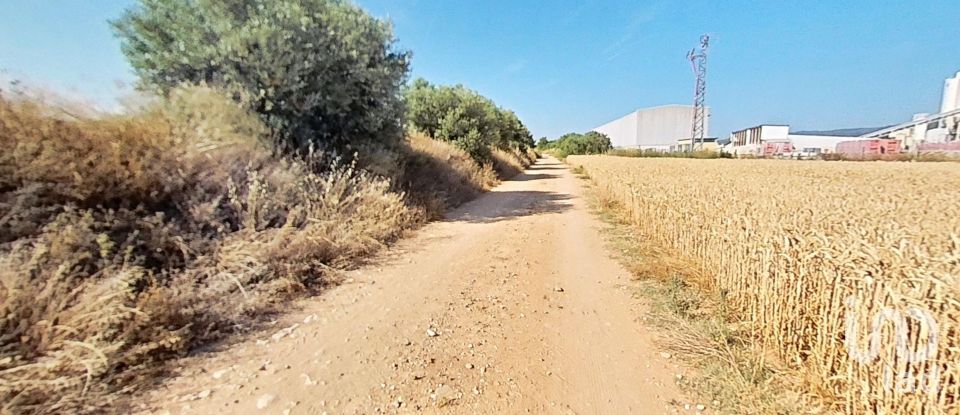 Land of 10,070 m² in Pira (43423)