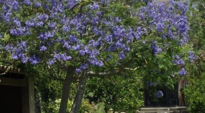 Country home 3 bedrooms of 291 m² in Cas Concos des Cavaller (07208)