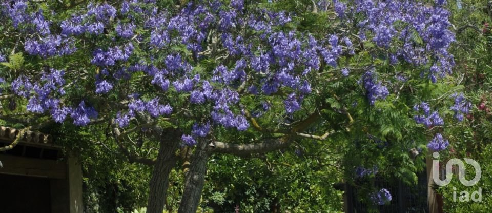 Country home 3 bedrooms of 291 m² in Cas Concos des Cavaller (07208)