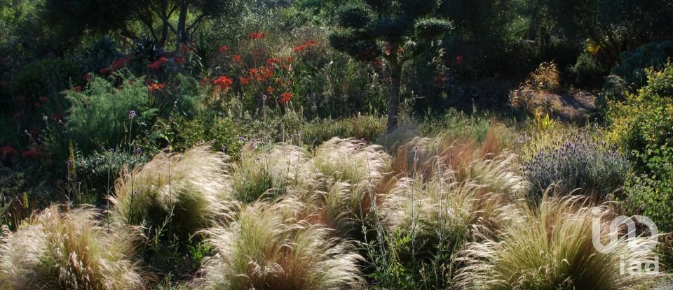 Country home 3 bedrooms of 291 m² in Cas Concos des Cavaller (07208)