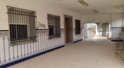 House 3 bedrooms of 847 m² in Crevillent (03330)