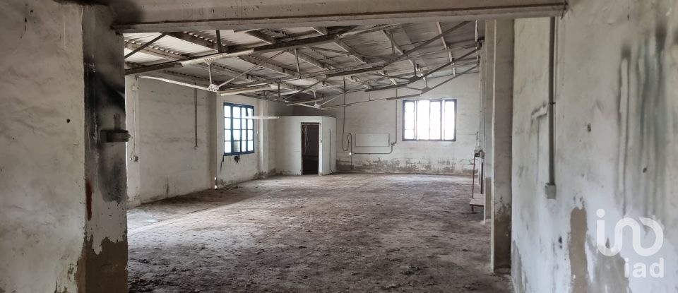 House 3 bedrooms of 847 m² in Crevillent (03330)