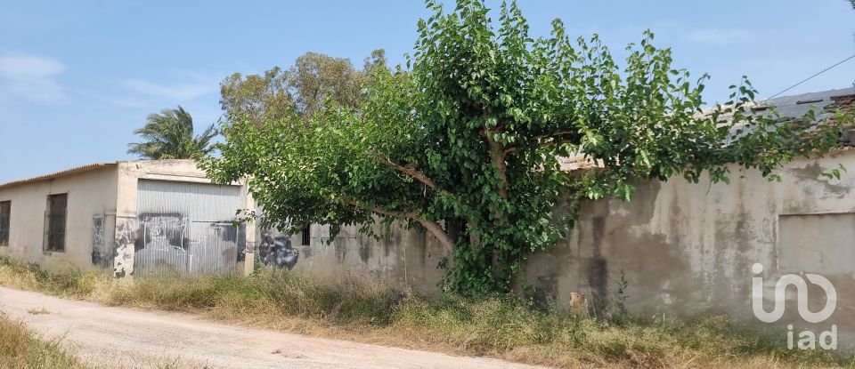 House 3 bedrooms of 847 m² in Crevillent (03330)