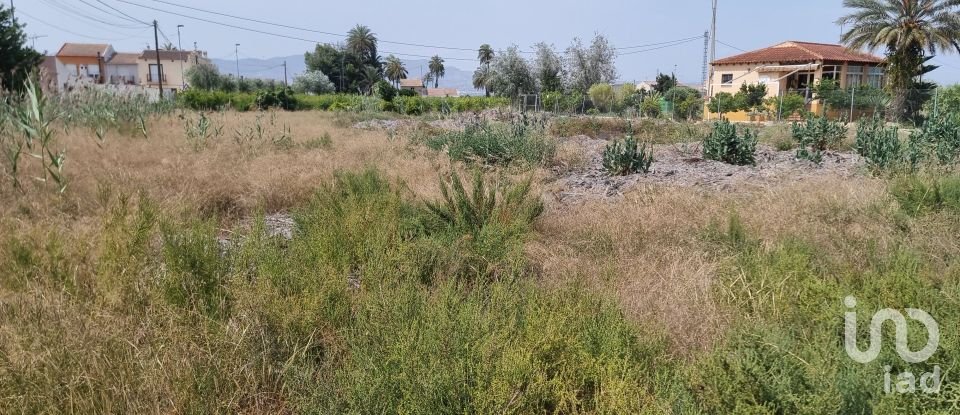 House 3 bedrooms of 847 m² in Crevillent (03330)