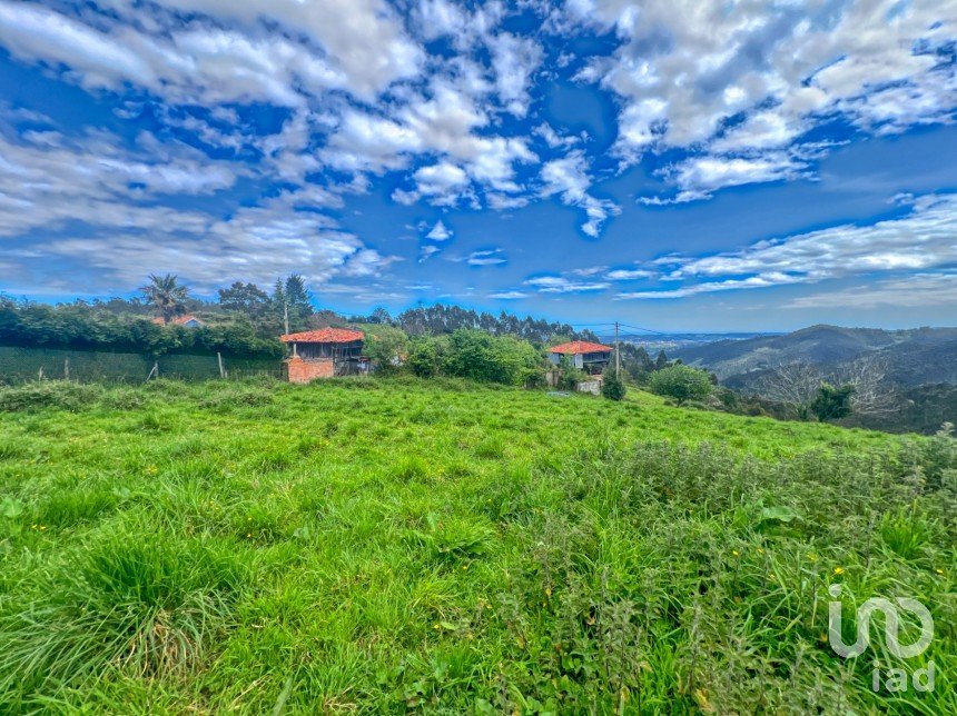 Terreny de 7.459 m² a Pulide (33456)