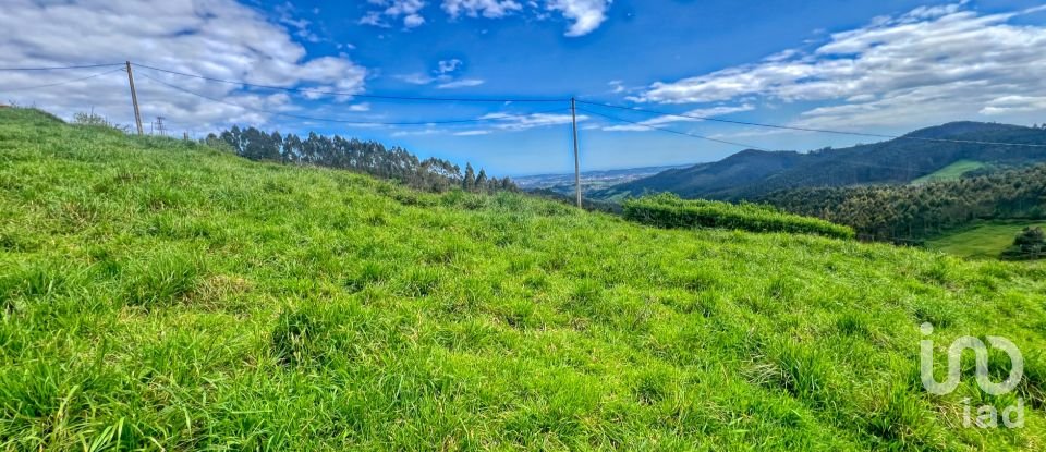 Terreny de 7.459 m² a Pulide (33456)