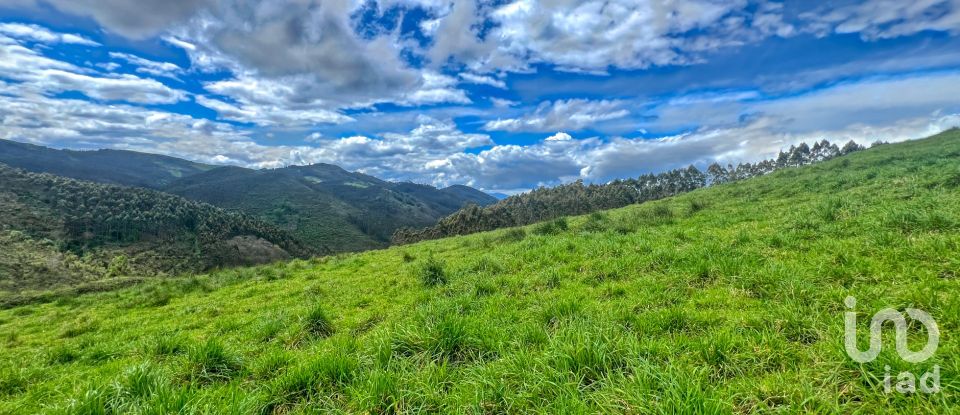 Terreny de 7.459 m² a Pulide (33456)