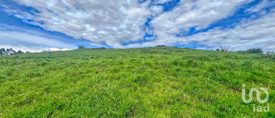 Terreny de 7.459 m² a Pulide (33456)
