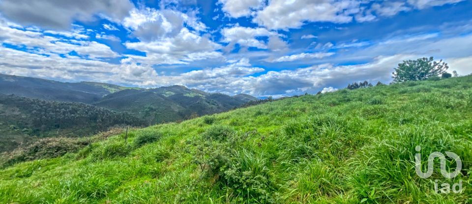 Terreny de 7.459 m² a Pulide (33456)