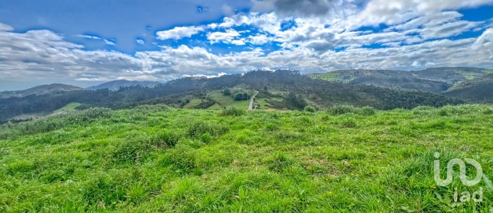 Terreny de 7.459 m² a Pulide (33456)