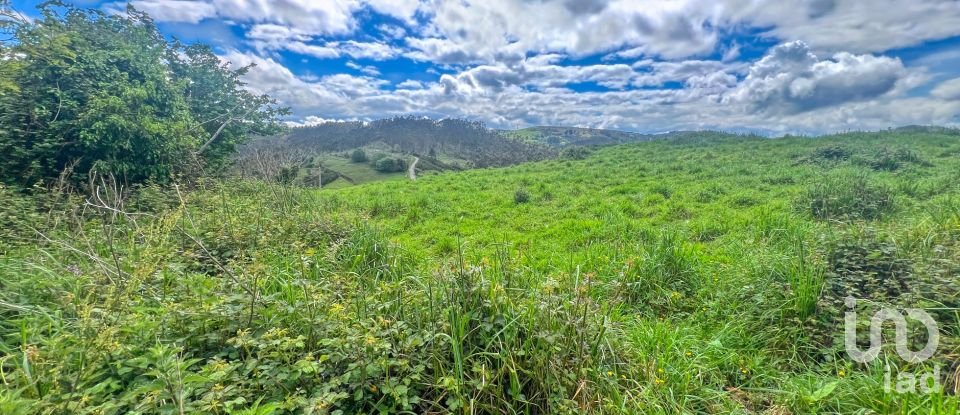 Terreny de 7.459 m² a Pulide (33456)