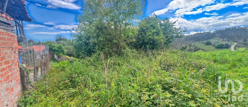 Terreny de 7.459 m² a Pulide (33456)